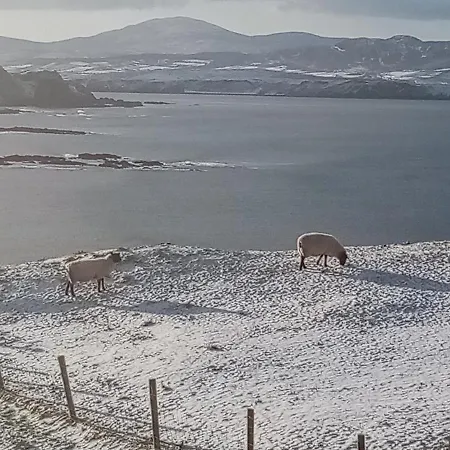 The Red Door Hotel *