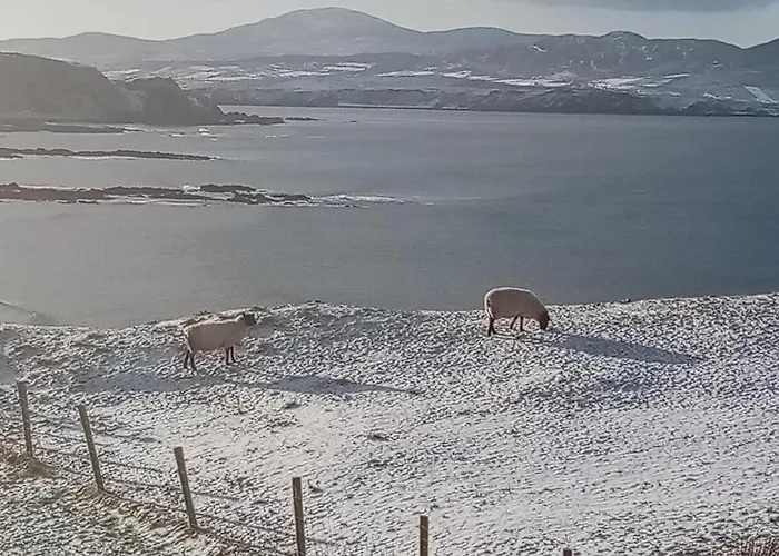 The Red Door Hotel *