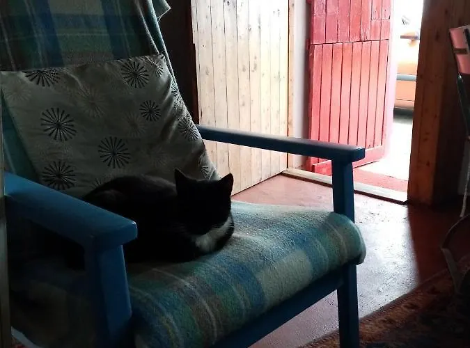 호텔 The Red Door 도니골