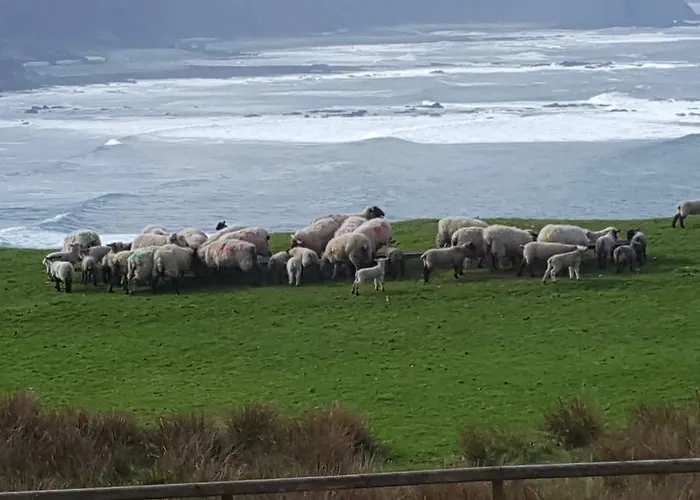 Hotel The Red Door Donegal Town