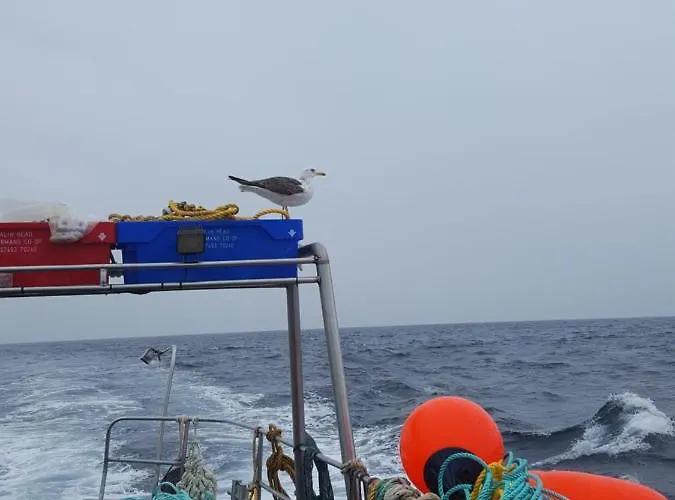 The Red Door 호텔 *